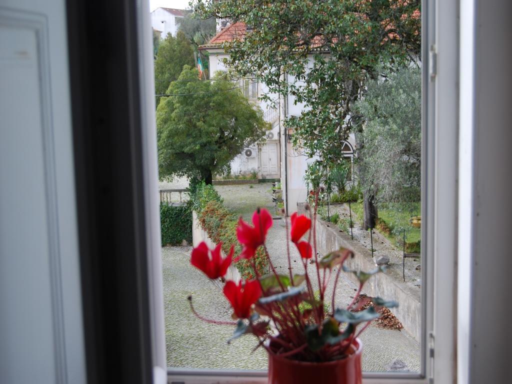 Adore Portugal Coimbra Guest House Екстер'єр фото
